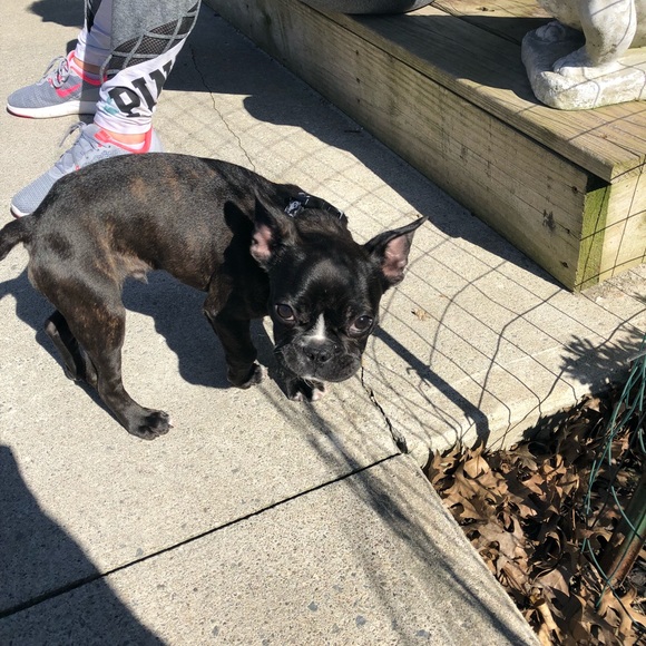 Meet your Posher, Luis - Picture 6 of 6